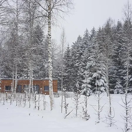 Chalet 4 - Les Jolis *
